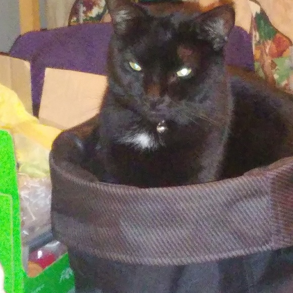 Meet your Posher, Heather - Picture 3 of 3